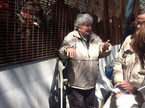 13510776_10209704699043098_6259366770274234335_n