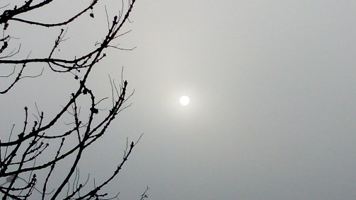 img_20170223_083607_burst001_cover